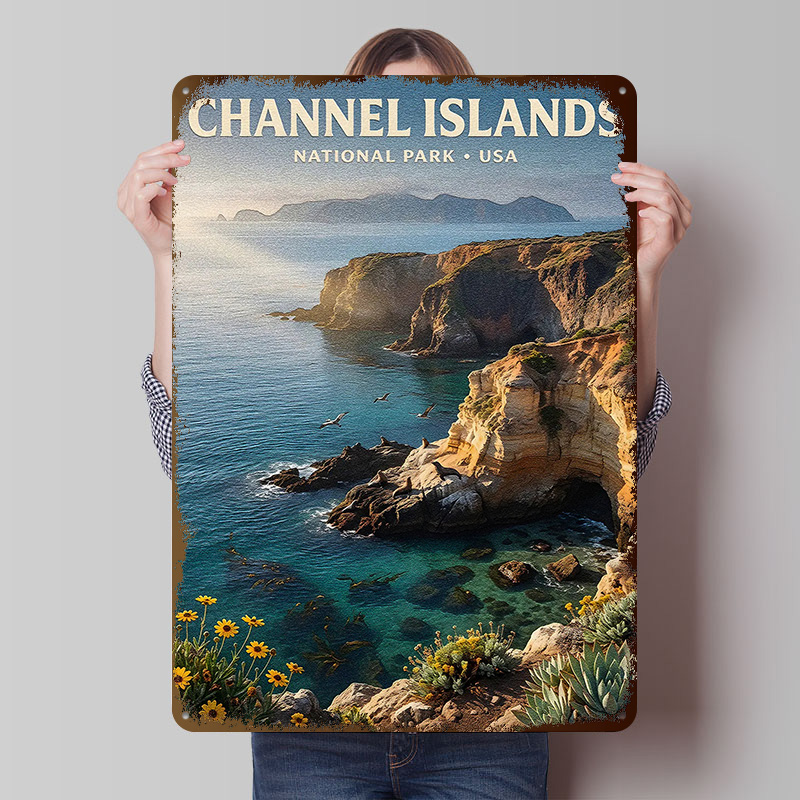 Retro Gaming Island - Channel Islands National Park Metal Poster